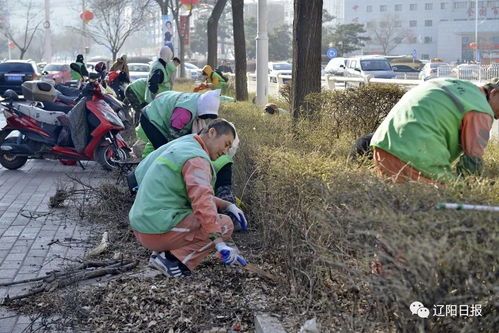 严把种子市场准入关 学习农业技术知识 整治校园及周边食品安全