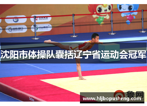 沈阳市体操队囊括辽宁省运动会冠军