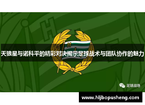 天狼星与诺科平的精彩对决揭示足球战术与团队协作的魅力